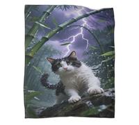 YYVKPMLXC Couverture Chat Snowshoe Polaire en Flanelle Imprimée 3D Couverture De Canapé Scène d'orage Douce Et Chaude pour Canapé Et Salon 70x80inch(180x200cm)