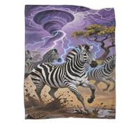 YYVKPMLXC Zèbre Couverture Douillette en Flanelle Imprimée 3D Couverture De Canapé Grassland Orage Douce Et Chaude pour Canapé Et Salon 50x60inch(127x152cm)