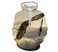 YYZOVBNN Pull à Capuche 3D orné d'un Aigle en Plein vol, Style Streetwear décontracté Unisexe, Grandes Tailles.