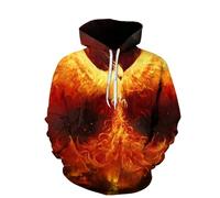 YYZOVBNN Sweat à Capuche Unisexe Cool Flame Art Phoenix 3D, Style Streetwear décontracté, Grandes Tailles Disponibles.