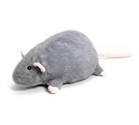 YZBBSH Chonky Rat en peluche douce surdimensionnée - Oreiller réaliste en peluche mignonne pour lit, canapé, chambre à coucher, décoration et cadeau (gris, 90 cm)