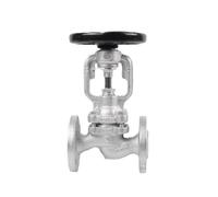 YZHATDH BSV-2EN DN15 DN20 DN25 DN32 Soufflet à Soufflet pour Vapeur Air Eau Froide et Chaude Huile Ductiel Fonte