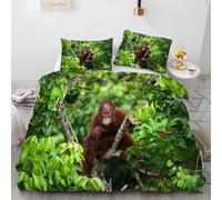 YZQGLHP Housse de Couette 90x190 Singe - Decoration Zoo, Parure de Lit 1 Personnes Singe, Linge de Lit en Microfibre Douce avec Fermeture éclair, 2 Taies d'oreiller 65x65 cm