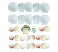 YZROHYI 30 Pièces Coquillage Décoration Aquarium,Gros Coquillages Décoratifs,Coquillage de Mer Naturel,Coquilles Saint Jacques Vide,Coquille St Jacques pour Cuisson,Décoration Mariage Theme Mer