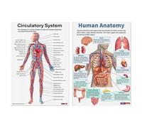 yztju Affiche d'anatomie SET-16-Parts Collection de diagrammes au squelette humain, art mural pédagogique détaillé | Impressions de référence anatomiques complètes, d'apprentissage médical pour le he