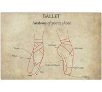 YZWRWRMKTB Pointe Shoes Anatomy Vintage Tin Sign Ballet Beginner Guide for Dance Studio Bedroom Wall Decor Gift 8 X 12 in
