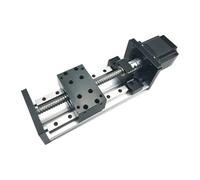 Z-axe slide SXG1605 stroke 100-800mmMGR12SFU1605(700mm Options 2 Nema23)