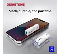 Z60 USB 3.2 Gen1 256GB,R/W 120/80MB/s Ultra High Speed Pen Reader,Retractable Capless Design,Compatible with USB 2.0/USB 3.0/USB 3.1 Interface