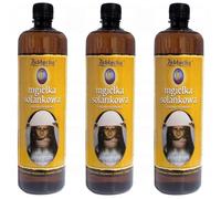 ZABŁOCKA Solenebel 3 x 950 ml | Saumure naturelle iode-brome à 500 m de profondeur | pH neutre et riche en minéraux | Idéal pour inhalation, soins de la peau et détente au quotidien (3 pièces)