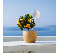 zafferano Poldina Lampe de table sans fil avec piquet, LED, LD0682B3,