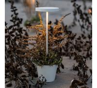 Zafferano Lampe de table Poldina Reverso – Rechargeable sans fil, tactile, dimmer, 35 cm, blanc
