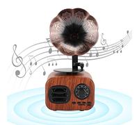 ZAICOLER Mini Haut-Parleur Bluetooth Rétro, Lecteur de Musique Portable pour Ordinateur de Bureau, Son Idéal pour Voyager, Couleur Rose/Noir/Rouge/Noyer (Bois de Noyer)