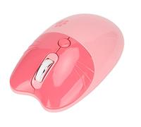 ZAICOLER Souris sans Fil Dessin animé Mignon Patte de Chat, Mini Souris Silencieuse, Rechargeable, 2.4G BT, Tablette D'ordinateur, pour Bureau et Voyage, Bleu (Pink)