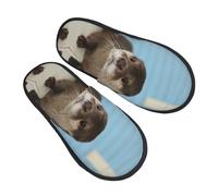 ZaKhs Chaussons antidérapants pour femme Motif loutre Pour intérieur et extérieur, Noir , Large