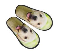 ZaKhs Pantoufles amusantes pour femme avec imprimé labrador chiot - Chaussons antidérapants pour intérieur et extérieur, Noir , Large