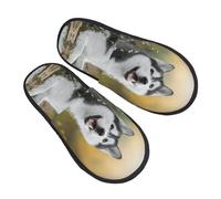 ZaKhs Pantoufles antidérapantes pour femme - Motif chiens husky - Pour intérieur et extérieur - Taille M, Noir , Large