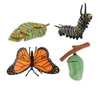 zalati Papillon Cycle de Croissance Modèle Biologique Figure Jouets pour Enfants Jouets Éducatifs Outils D'enseignement