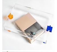 zalati Plateau alimentaire en plastique acrylique transparent avec poignée pour servir des aliments et des boissons, photographie, spectacle