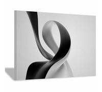 ZAMAEIU Décor Abstrait Peintures Ombres et formes tordues Grandes impressions d'art moderne,pour peintur photo pour salon Toile Chambre Mur Salle de bain Bureau(noir et blanc05)-80x120cm Encadrée