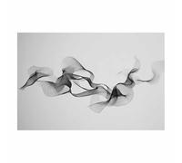 ZAMAEIU Impression sur Toile Decoration Murale Peinture Danse des fils Noir Et Blanc de Tableaux Decoratifs,salle de bain Chambre Salon Muraux Déco Chambre(noir et blanc46)-50x70cm Sans cadre