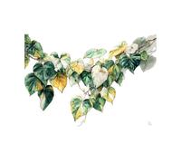 ZAMAEIU Murale Botanique pour Salle de Bain Lierre Mural en Toile de Fleur pour Salon Chambre(Vert)-60x90cm Sans cadre