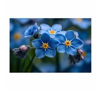 ZAMAEIU Peinture de paysage Fleur à centre en étoile décoration murale, œuvre d'art moderne, adaptée à la chambre à coucher, au salon, à la salle de bain(bleu)-60x90cm Sans cadre