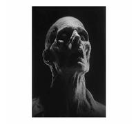 ZAMAEIU Tableau Halloween Cadavre d'horreur Modernes Motifs Halloween Muraux, Déco Poster pour le salon, la chambre, Couloir de bureau etc.(noir294)-50x70cm Sans cadre