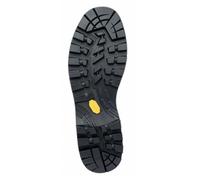 Zamberlan Bottes De Randonnée 3030 Eiger Lite Gore-tex® Rr Boa Pu