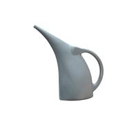 Zambuph Arrosoir d'intérieur Portable à Long Bec pour Plantes d'intérieur, avec poignée Ergonomique pour Un Confort Optimal, Gris, Moyen