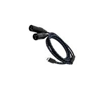 Zambuph Câble USB-C vers 2 XLR mâles (3 broches mâles) : flexibilité optimale pour les appareils d'enregistrement audio et les ordinateurs portables, 150 cm