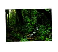 Zambuph Décor Mural Autocollant pour Aquarium : Un arrière-Plan enchanteur Qui transforme visuellement Votre Aquarium, Vert Gazon, 61 x 41 cm