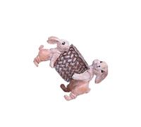 Zambuph Décoration de Pâques polyvalente pour l'intérieur et l'extérieur, avec un charmant petit lapin et un pot de fleurs, idéale pour célébrer le printemps.