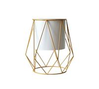 Zambuph Planteur en fer de Style nordique plante succulente Pot de fleur géométrique présentoir support cadre en métal table pour décor d'affaires, Blanc géométrique