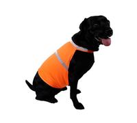 Zambuph Restez en sécurité et Soyez vu Gilet pour Chien Gilet pour Chien Fluorescent Haute visibilité en Polyester Fluorescent Haute visibilité élégant, Orange Fluo, S