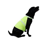 Zambuph Restez en sécurité et Soyez vu Gilet pour Chien Gilet pour Chien Fluorescent Haute visibilité en Polyester Fluorescent Haute visibilité élégant, Jaune Citron, M.