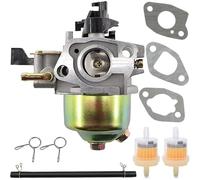 ZAMDOE Carburateur de Rechange pour Einhell BG-PM 46 S-HW SE, BG-PM 46 S-HW, BG-PM 46/3 S, BG-PM 51 S-HW tondeuses, avec Joint et kit de Filtre de Conduite de Carburant