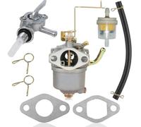 ZAMDOE Carburateur pour Einhell STE 800, STE 800 GB Ex, BSE 800-41, St 8000, STE 850 Groupe électrogène, pour Yellow Profi Line YPL 780 pour Alpha Remplacement pour Groupe électrogène