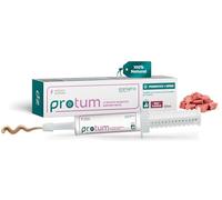 Zanipro Pâte Probiotique et Prébiotique pour Chiens et Chats Contre la Diarrhée et Les vers, 3 Milliards de Cultures Vivantes de Probiotiques, Cure Intestinale - Fermeté des Selles (60ml) Bœuf