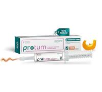 Zanipro Pâte Probiotique et Prébiotique pour Chiens et Chats Contre la Diarrhée et Les vers, 3 Milliards de Cultures Vivantes de Probiotiques, Cure Intestinale - Fermeté des Selles (60ml) Potiron