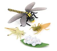 Zanthicia 1 Ensemble de modèles de Cycle Vie modèle Cycle Vie Exquis Simulation créative Animaux Jouets Jouet Animal pour Enfants , Libellule
