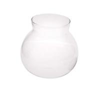 Zanthicia Cloche Transparente en Forme de dôme pour Exposer des Plantes Miniatures et des Figurines. Bel élément décoratif pour Toute Maison de poupée Miniature. Vase