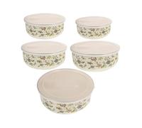 Zanthicia Ensemble de bols mélangeurs à surfaces lisses, servant également de récipients conservation. Idéal pour préparer et conserver délicieuses salades fruits. Bols gigognes