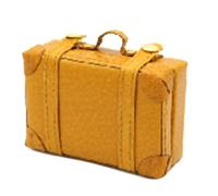 Zanthicia Mini Valise à Bagages poupée décoration Accessoire valises de Voyage Enfants Cadeaux Semblant Jouer Jouet pour Enfants école Maternelle, Jaune