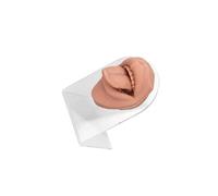 Zanthicia Présentoir de bijoux de simulation avec modèle de bouche de langue en silicone 3D favorisant un apprentissage efficace pour les cours d'anatomie,