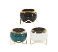 Zanthicia Un ensemble de pots de fleurs pour apporter la nature à l'intérieur votre maison. L'apparence est fraîche et donne Pour aux gens un bon effet visuel.