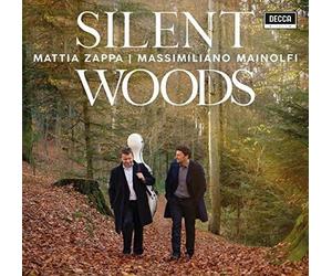 Zappa Mattia( Violoncello) - Silent Woods