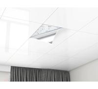 ZAQYCM Dalle de Plafond Carreaux De Plafond À Décoller Et À Coller, Panneaux Muraux Imperméables pour Salle De Bain/sous-Sol/Toilettes, Papier Peint Décoratif De Fond en PVC(Style-2,10 Pack)