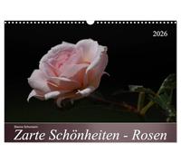 Zarte Schönheiten - Rosen (Wandkalender 2026 DIN A3 quer), CALVENDO Monatskalender: Edle Königinnen der Blumen in ganzer Blütenpracht