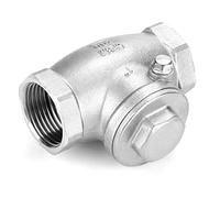 ZASCHMOY Clapet Anti-retour à Battant Unidirectionnel en Acier Inoxydable DN25 - Filetage Femelle WOG 200PSI - Durable et Résistant à la Corrosion - Idéal pour la Gestion de l'eau, de l', de la