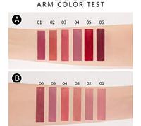 ZASCHMOY Ensemble de 6 Rouges à Lèvres Liquides Mats, Résistants à L'eau, Brillant à Lèvres Longue Durée, velouté, Lisse, Très pigmenté, Couleurs Riches, Coffret Cadeau pour Femmes, Fête, (Couleur